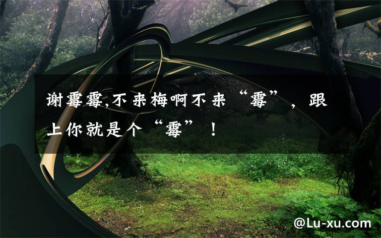 谢霉霉,不来梅啊不来“霉”，跟上你就是个“霉”！