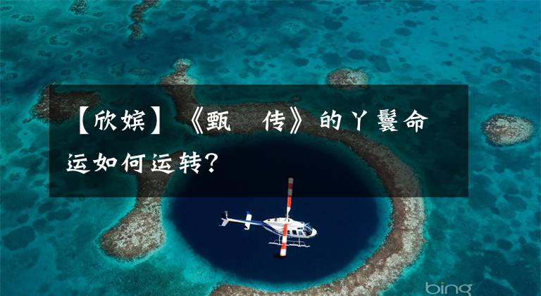 【欣嫔】《甄嬛传》的丫鬟命运如何运转?