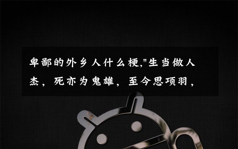 卑鄙的外乡人什么梗,