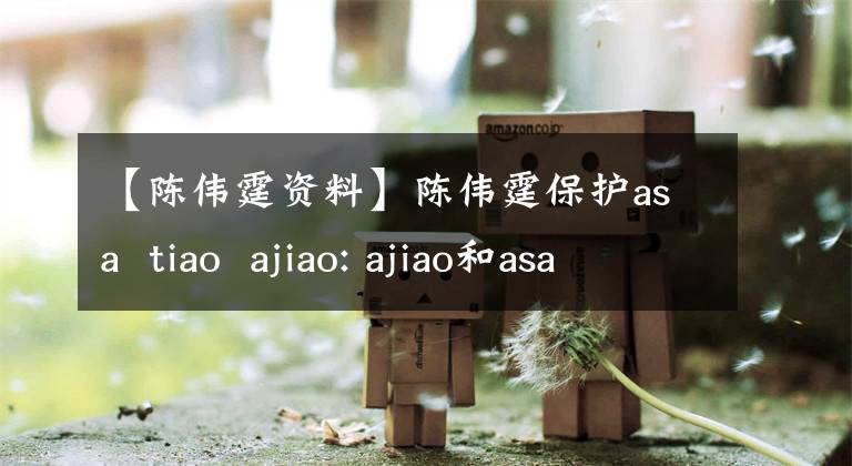 【陈伟霆资料】陈伟霆保护asa tiao ajiao: ajiao和asa的个人信息