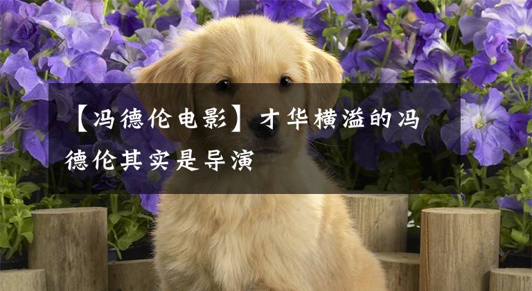 【冯德伦电影】才华横溢的冯德伦其实是导演