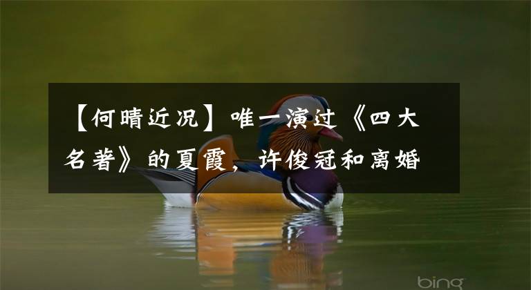 【何晴近况】唯一演过《四大名著》的夏霞,许俊冠和离婚后得了脑瘤后怎么样了?