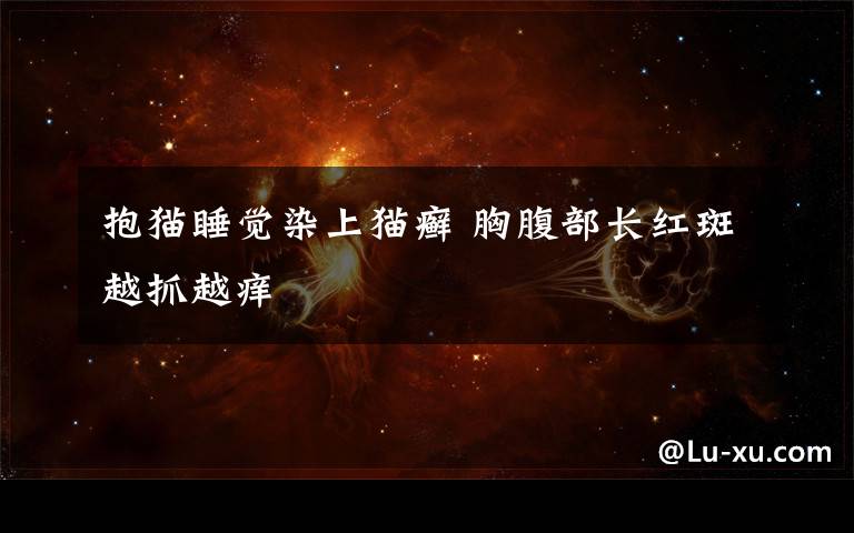 抱猫睡觉染上猫癣 胸腹部长红斑越抓越痒