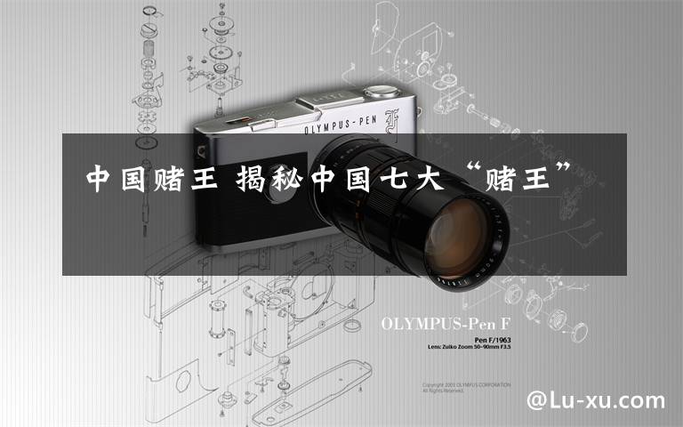 中国赌王 揭秘中国七大“赌王”