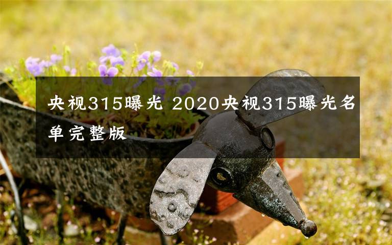 央视315曝光 2020央视315曝光名单完整版