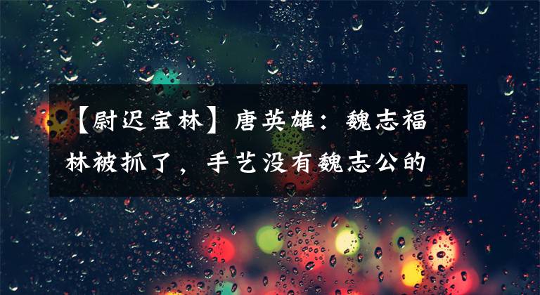 【尉迟宝林】唐英雄：魏志福林被抓了，手艺没有魏志公的勇气啊，老子英雄啊。