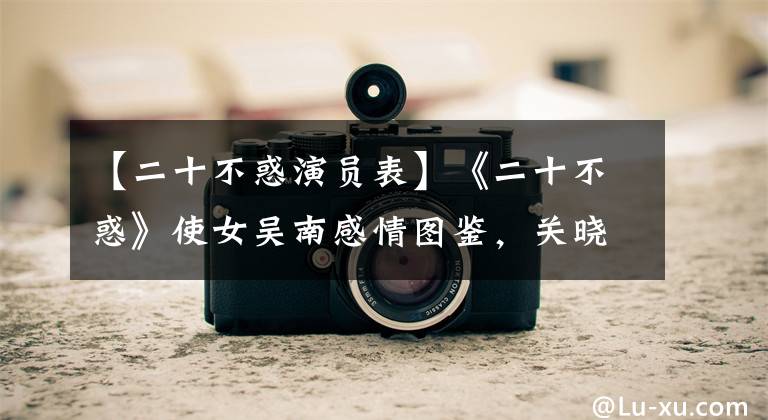【二十不惑演员表】《二十不惑》使女吴南感情图鉴,关晓东吴俊峰,傅冠金三角关系。