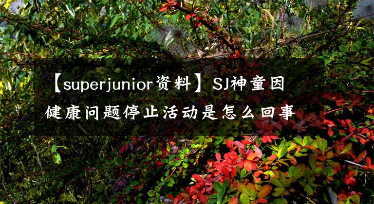 【superjunior资料】SJ神童因健康问题停止活动是怎么回事?super junior神童简介得了什么病