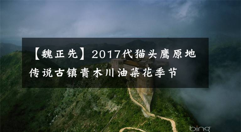 【魏正先】2017代猫头鹰原地传说古镇青木川油菜花季节