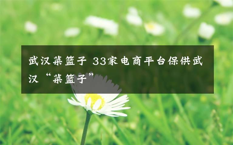 武汉菜篮子 33家电商平台保供武汉“菜篮子”