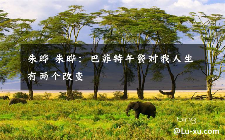 朱晔 朱晔:巴菲特午餐对我人生有两个改变