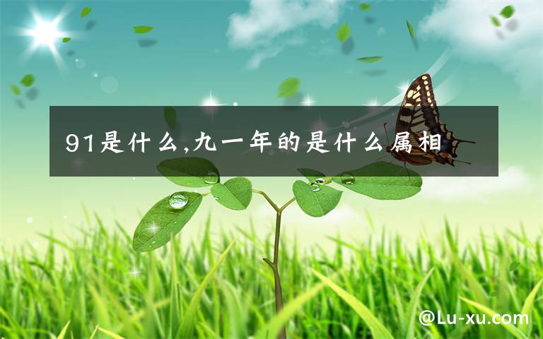 91是什么,九一年的是什么属相