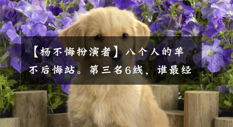 【杨不悔扮演者】八个人的羊不后悔站。第三名6线,谁最经典?