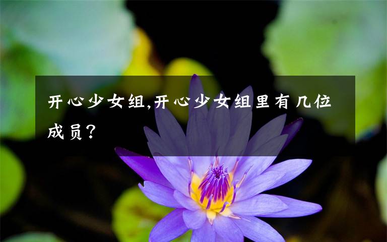 开心少女组,开心少女组里有几位成员?