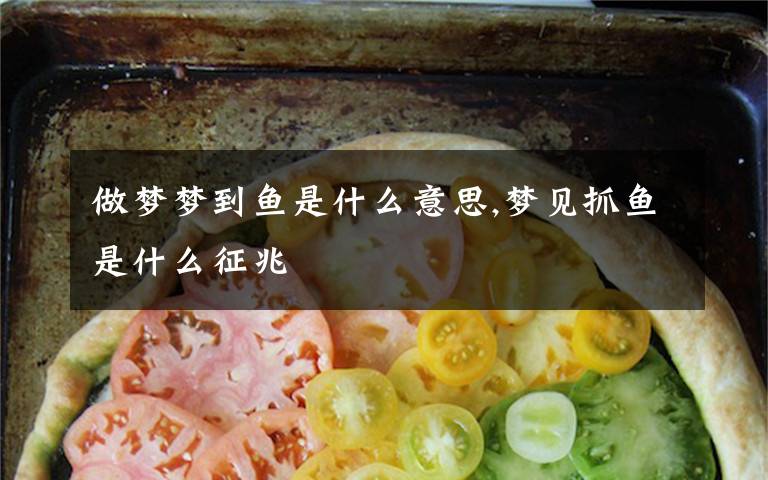 做梦梦到鱼是什么意思,梦见抓鱼是什么征兆