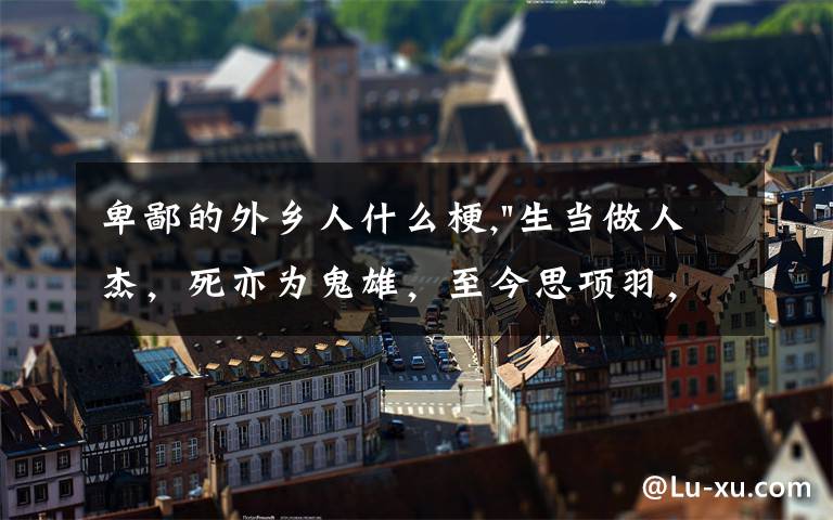 卑鄙的外乡人什么梗,