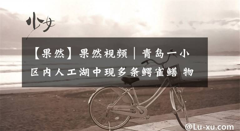 【果然】果然视频|青岛一小区内人工湖中现多条鳄雀鳝 物业抽干湖水抓捕