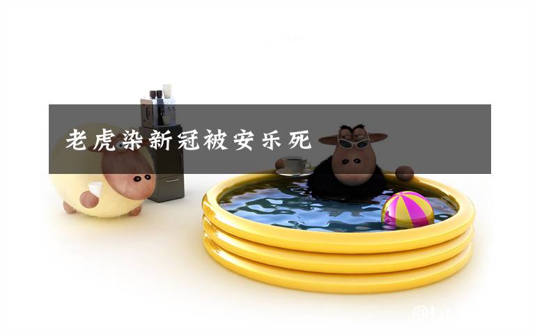 老虎染新冠被安乐死