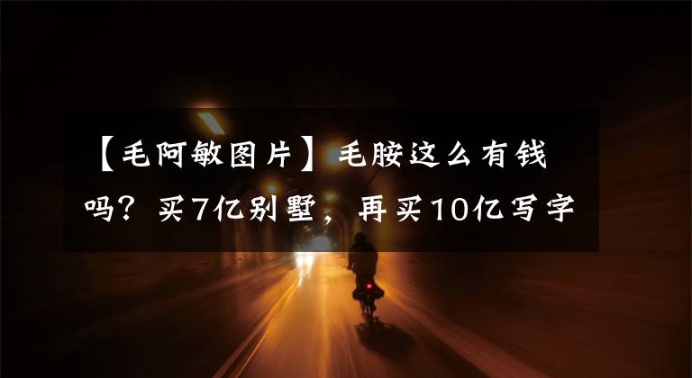 【毛阿敏图片】毛胺这么有钱吗?买7亿别墅,再买10亿写字楼