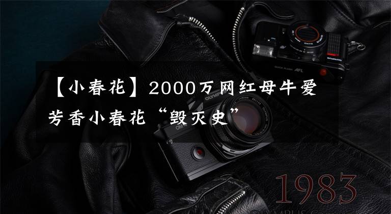 【小春花】2000万网红母牛爱芳香小春花“毁灭史”