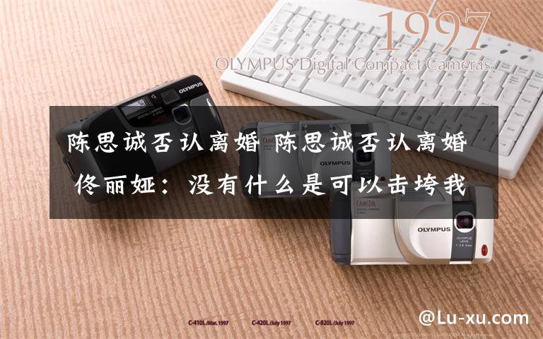 陈思诚否认离婚 陈思诚否认离婚 佟丽娅:没有什么是可以击垮我的