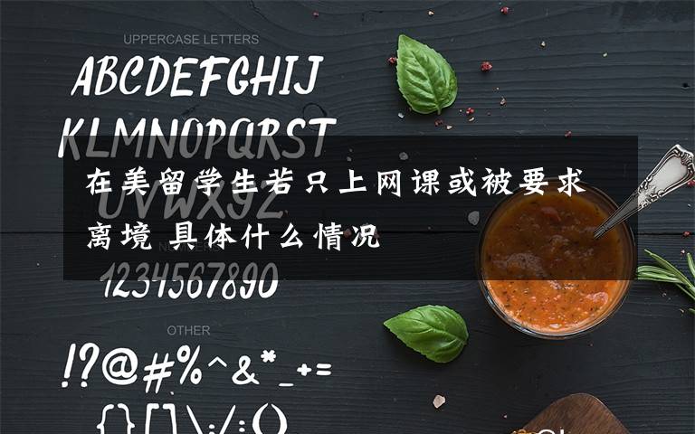 在美留学生若只上网课或被要求离境 具体什么情况