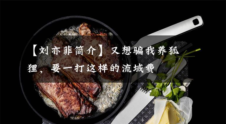 【刘亦菲简介】又想骗我养狐狸，要一打这样的流域费