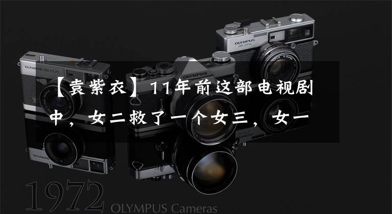 【袁紫衣】11年前这部电视剧中,女二救了一个女三,女一死于女三,男主娶了女三。