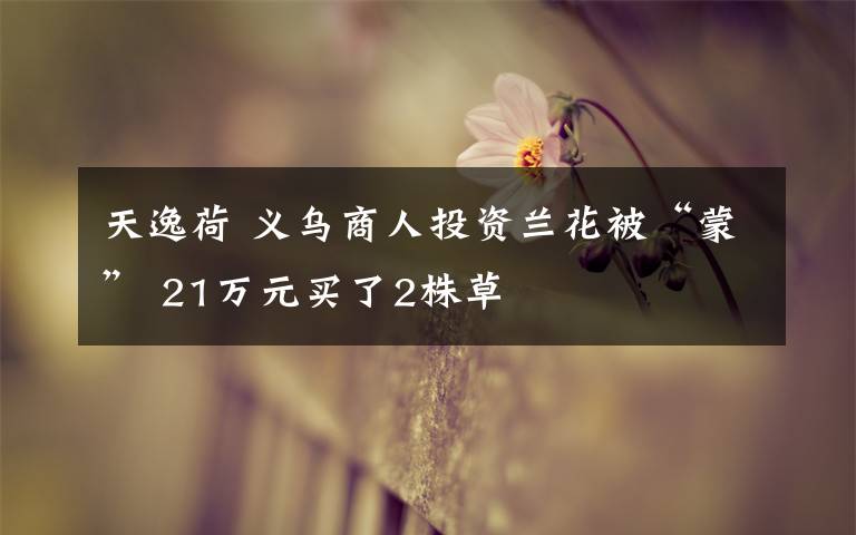 天逸荷 义乌商人投资兰花被“蒙” 21万元买了2株草