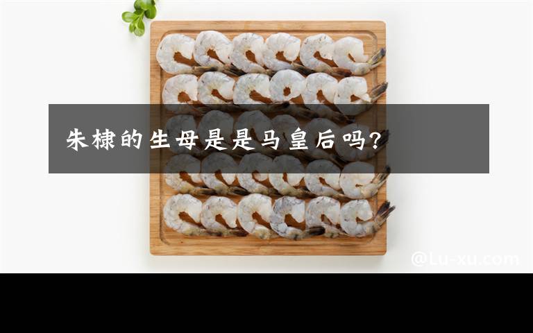 朱棣的生母是是马皇后吗?