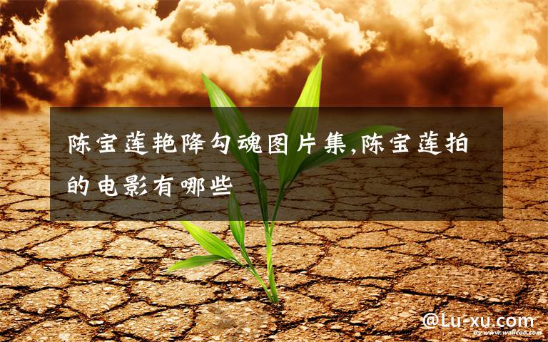 陈宝莲艳降勾魂图片集,陈宝莲拍的电影有哪些