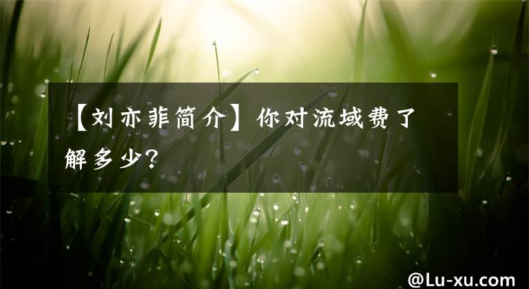 【刘亦菲简介】你对流域费了解多少？