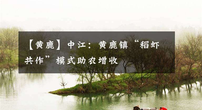 【黄鹿】中江：黄鹿镇“稻虾共作”模式助农增收