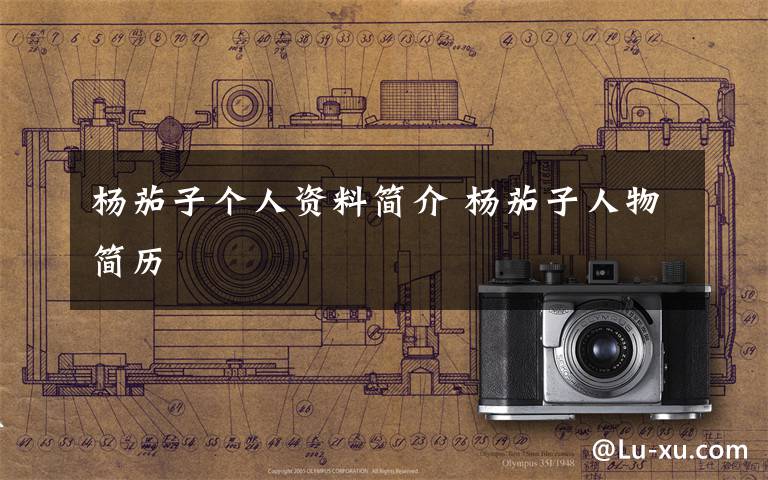 杨茄子个人资料简介 杨茄子人物简历