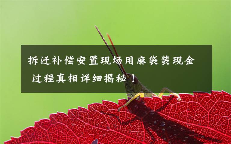 拆迁补偿安置现场用麻袋装现金 过程真相详细揭秘!