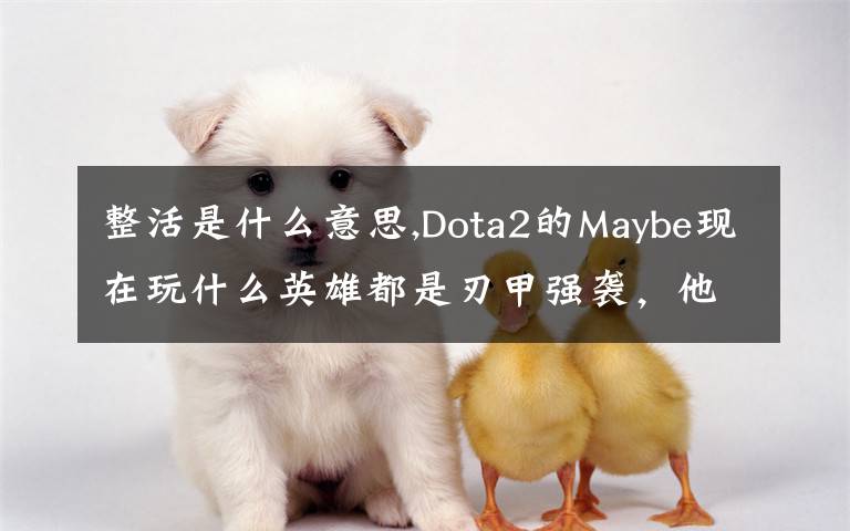 整活是什么意思,Dota2的Maybe现在玩什么英雄都是刃甲强袭,他这样是不是在