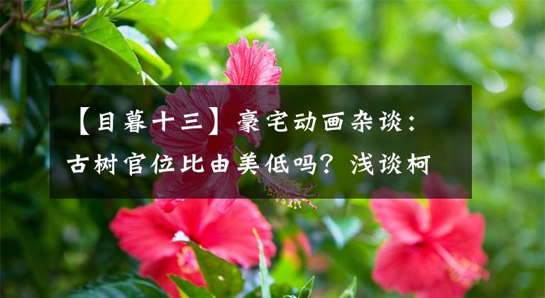 【目暮十三】豪宅动画杂谈：古树官位比由美低吗？浅谈柯南与警察相关的冷知识