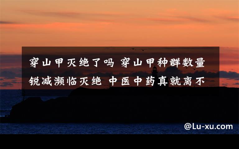 穿山甲灭绝了吗 穿山甲种群数量锐减濒临灭绝 中医中药真就离不开珍稀动植物?
