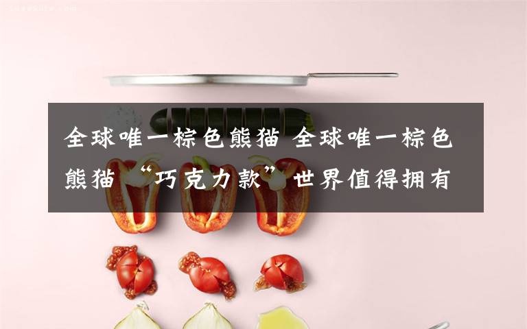 全球唯一棕色熊猫 全球唯一棕色熊猫 “巧克力款”世界值得拥有