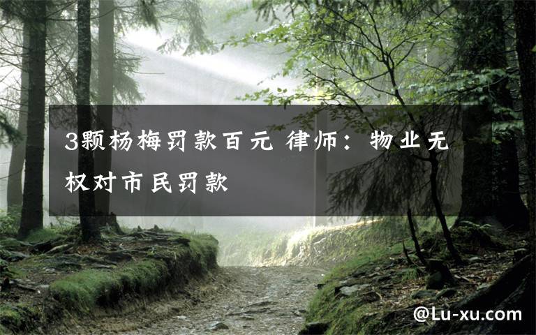 3颗杨梅罚款百元 律师:物业无权对市民罚款