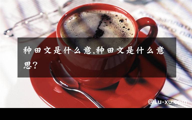 种田文是什么意,种田文是什么意思？