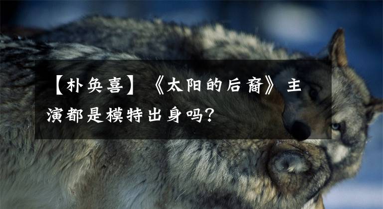 【朴奂喜】《太阳的后裔》主演都是模特出身吗?