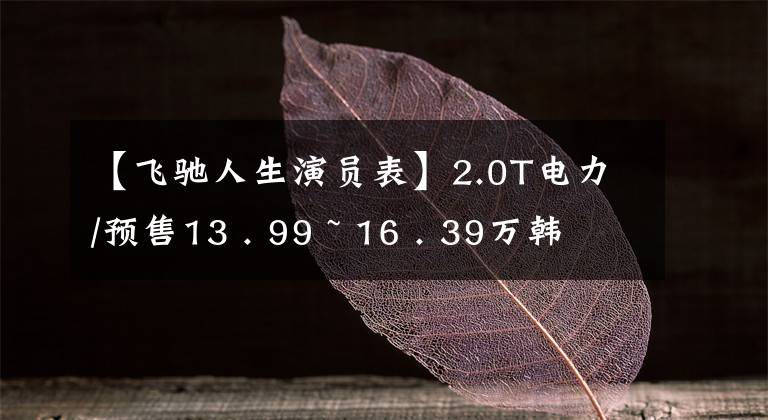 【飞驰人生演员表】2.0T电力/预售13 . 99 ~ 16 . 39万韩元捷径X90 PLUS  Zilong版预售