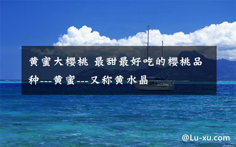 黄蜜大樱桃 最甜最好吃的樱桃品种---黄蜜---又称黄水晶