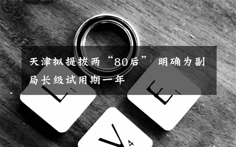 天津拟提拔两“80后” 明确为副局长级试用期一年