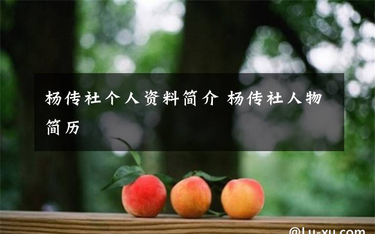 杨传社个人资料简介 杨传社人物简历