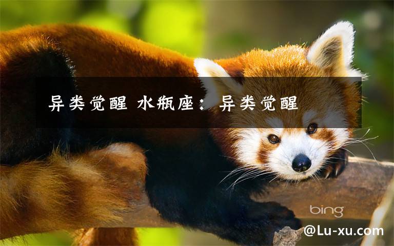 异类觉醒 水瓶座：异类觉醒