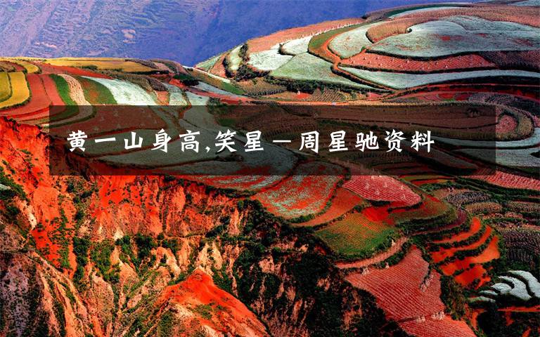 黄一山身高,笑星-周星驰资料