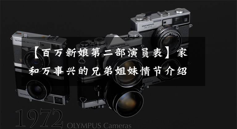 【百万新娘第二部演员表】家和万事兴的兄弟姐妹情节介绍