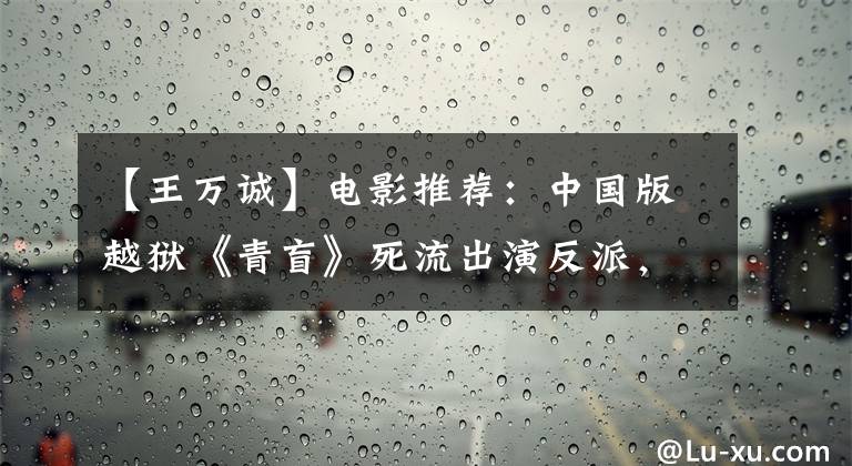 【王万诚】电影推荐:中国版越狱《青盲》死流出演反派,方村之间起伏不定。